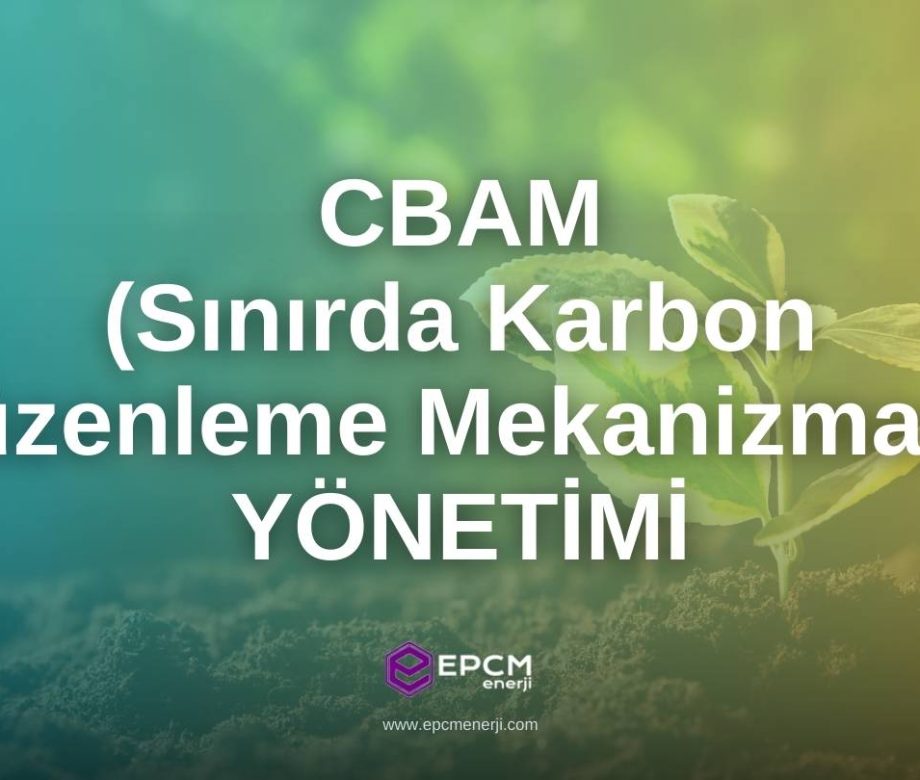 Sınırda Karbon Düzenleme Mekanizması (CBAM) Yönetimi